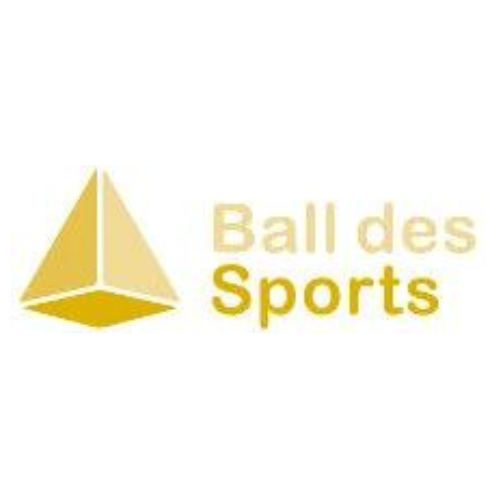 Ball Des Sports